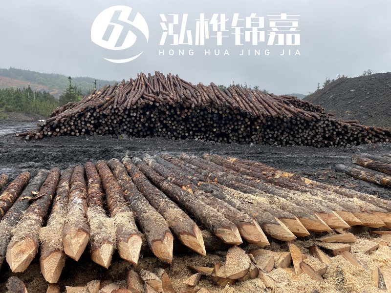 6米長松木樁有哪些作用，多少錢一根？