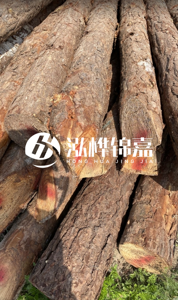<strong>松木樁和杉木樁的用途區(qū)別？哪個(gè)更適合打樁用？</strong>