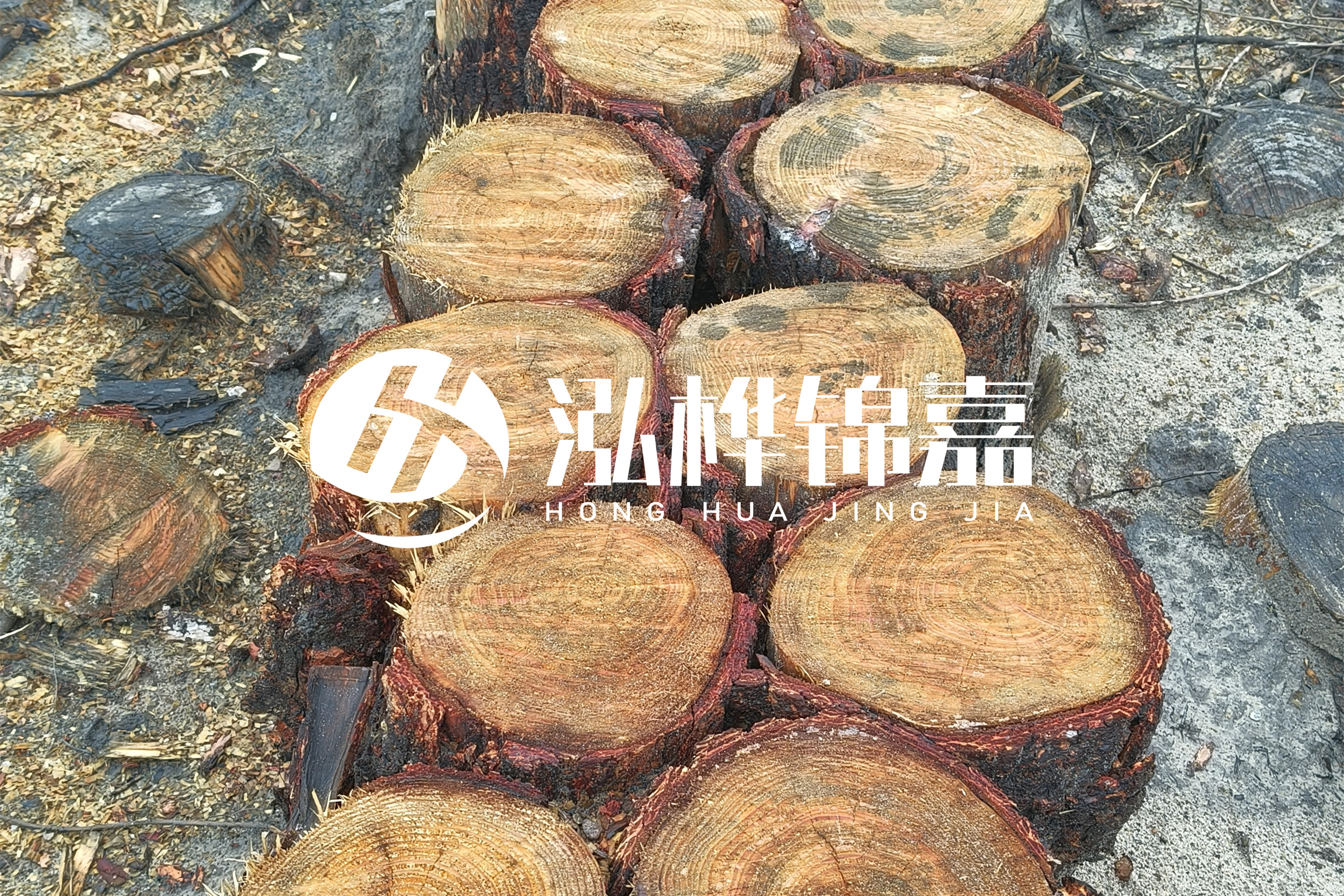 浙江臺州有清淤的公司嗎？浙江臺州有清淤施工隊嗎？