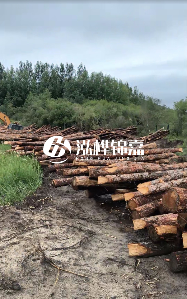 甘肅河道清淤工程公司-為什么要進行河道清淤？