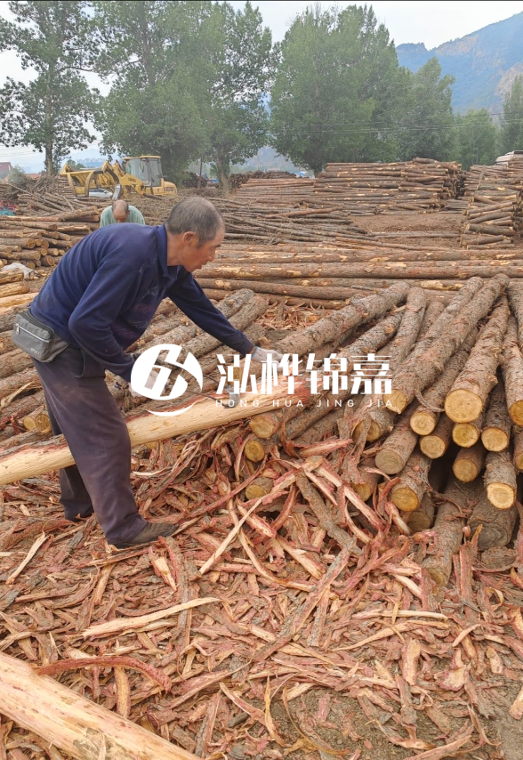 東營(yíng)河道清淤專(zhuān)業(yè)施工隊(duì)-不同型號(hào)挖機(jī)清淤能力對(duì)比？