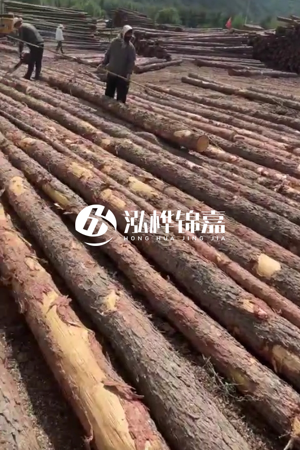 ?？谒赡緲对搭^廠家-松木樁最長(zhǎng)可以做多少米？