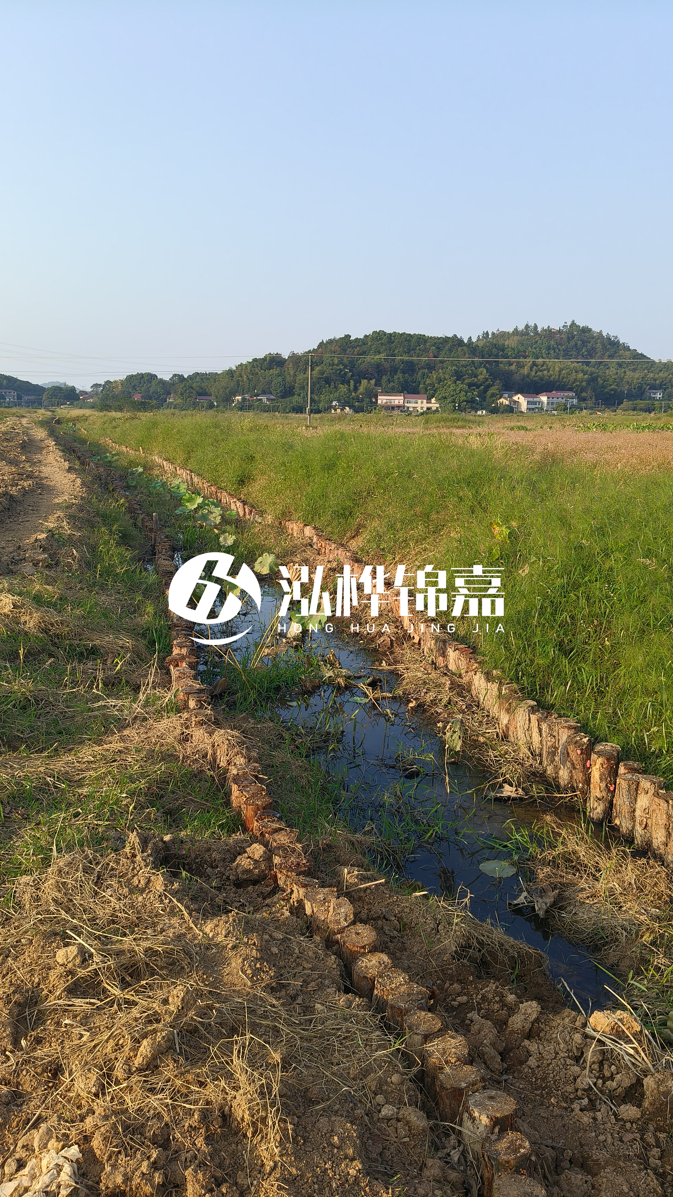 河道護(hù)坡打木樁的目的全解析：你知道幾個？