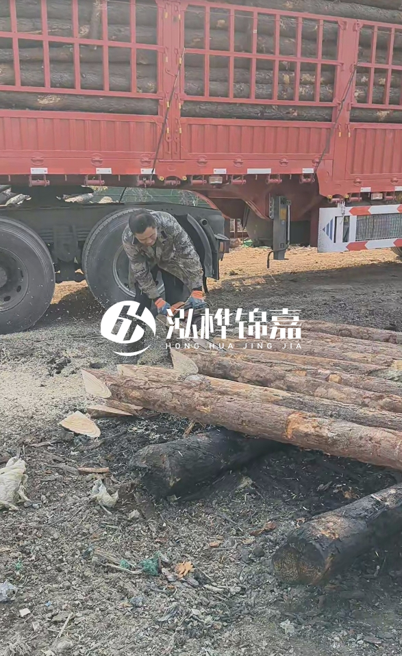 2米松木樁多少錢一根？15-20CM直徑價格是多少？