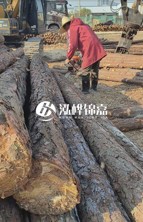 長(zhǎng)沙打樁木批發(fā)廠家在哪里？聯(lián)系方式是什么？