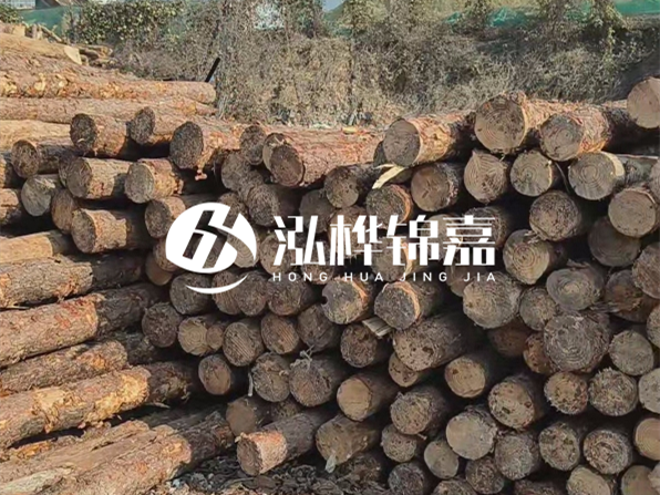 落葉松木材的主要產(chǎn)地在哪里？為什么比其他松木更耐腐蝕？