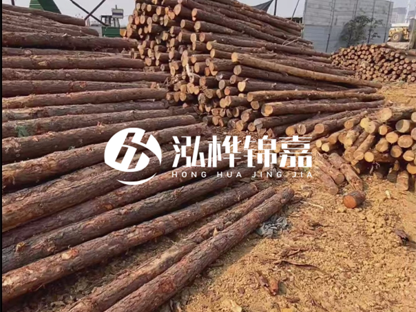 河道木樁施工遇到淤泥怎么辦？打多深才能防沖刷？