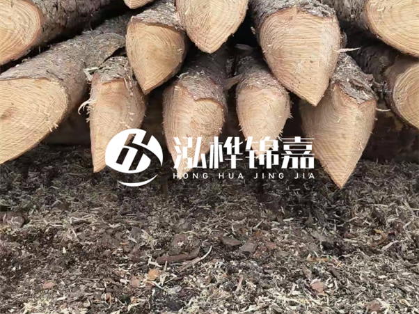 打樁木樁與鋼樁相比有哪些優(yōu)缺點？如何進(jìn)行后期維護(hù)？