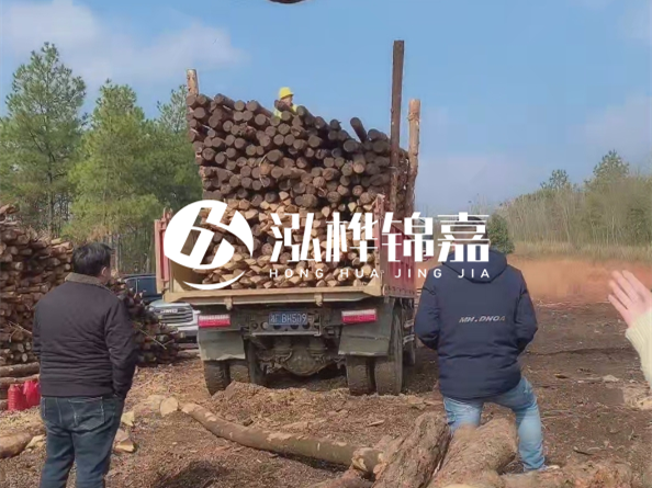 松木樁價格是按米算還是按根算？6米松木樁批發(fā)價每根多少錢？