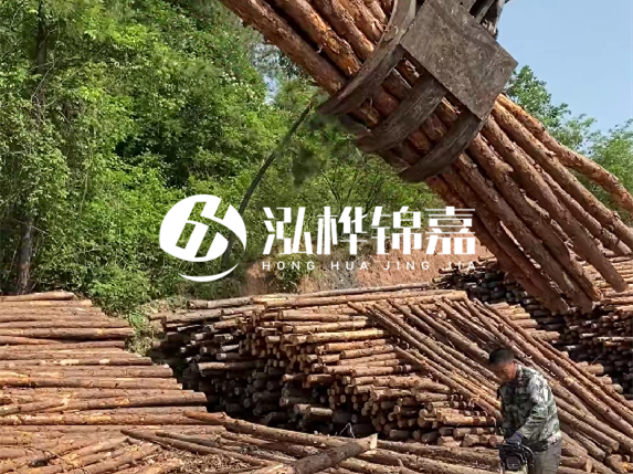 哪里能買到優(yōu)質(zhì) 3 米松木樁？長沙有松木樁批發(fā)工廠嗎？