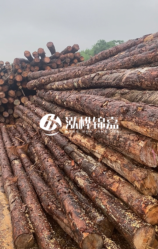 購(gòu)買(mǎi)松木樁注意事項(xiàng)有哪些-不同直徑松木樁區(qū)別有哪些？