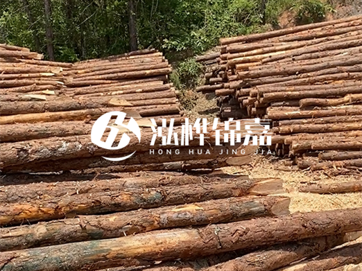 松木樁的運(yùn)輸費(fèi)用是否包含卸車(chē)費(fèi)？卸貨時(shí)需要注意哪些安全問(wèn)題？