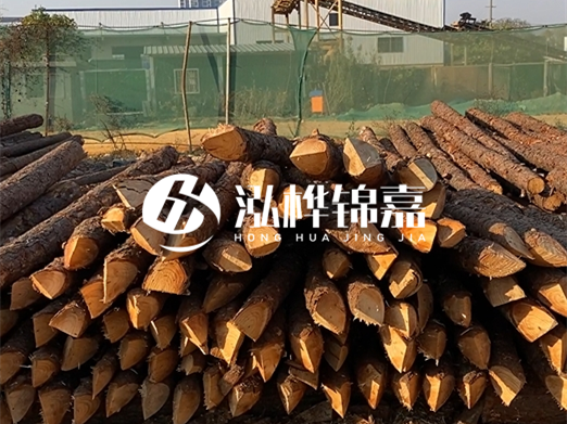 松木樁6米15cm打樁多少錢一根-專業(yè)打木樁隊聯(lián)系電話？