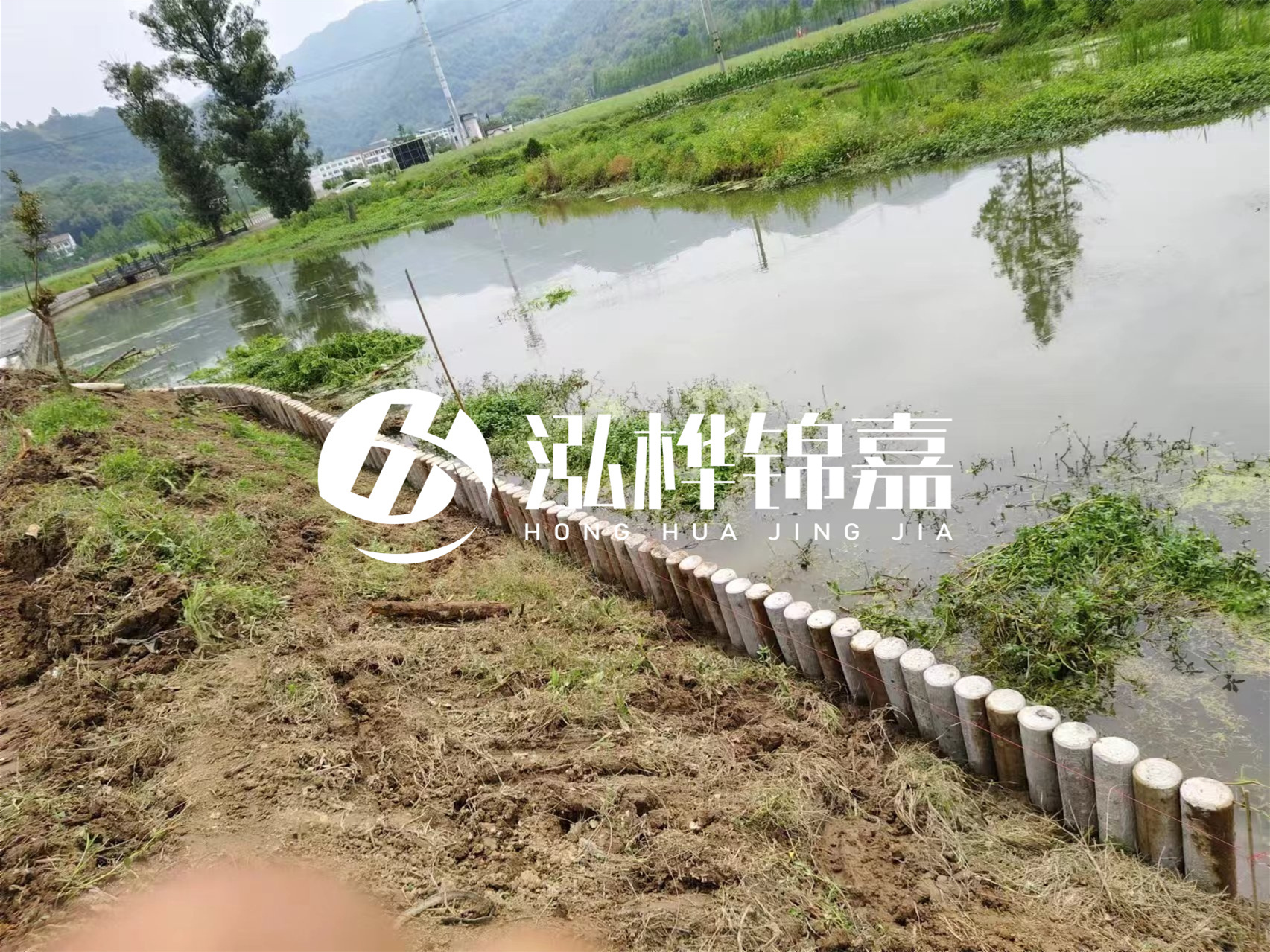 松木樁加固河道與水泥樁對(duì)比如何？哪一種更加適合您？