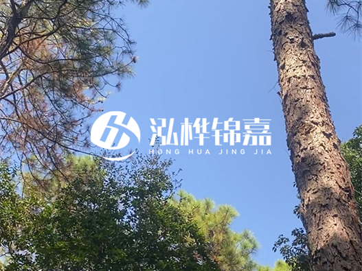 松木樁廠家泓樺錦嘉可以實地考察嗎？需要提前預約嗎？