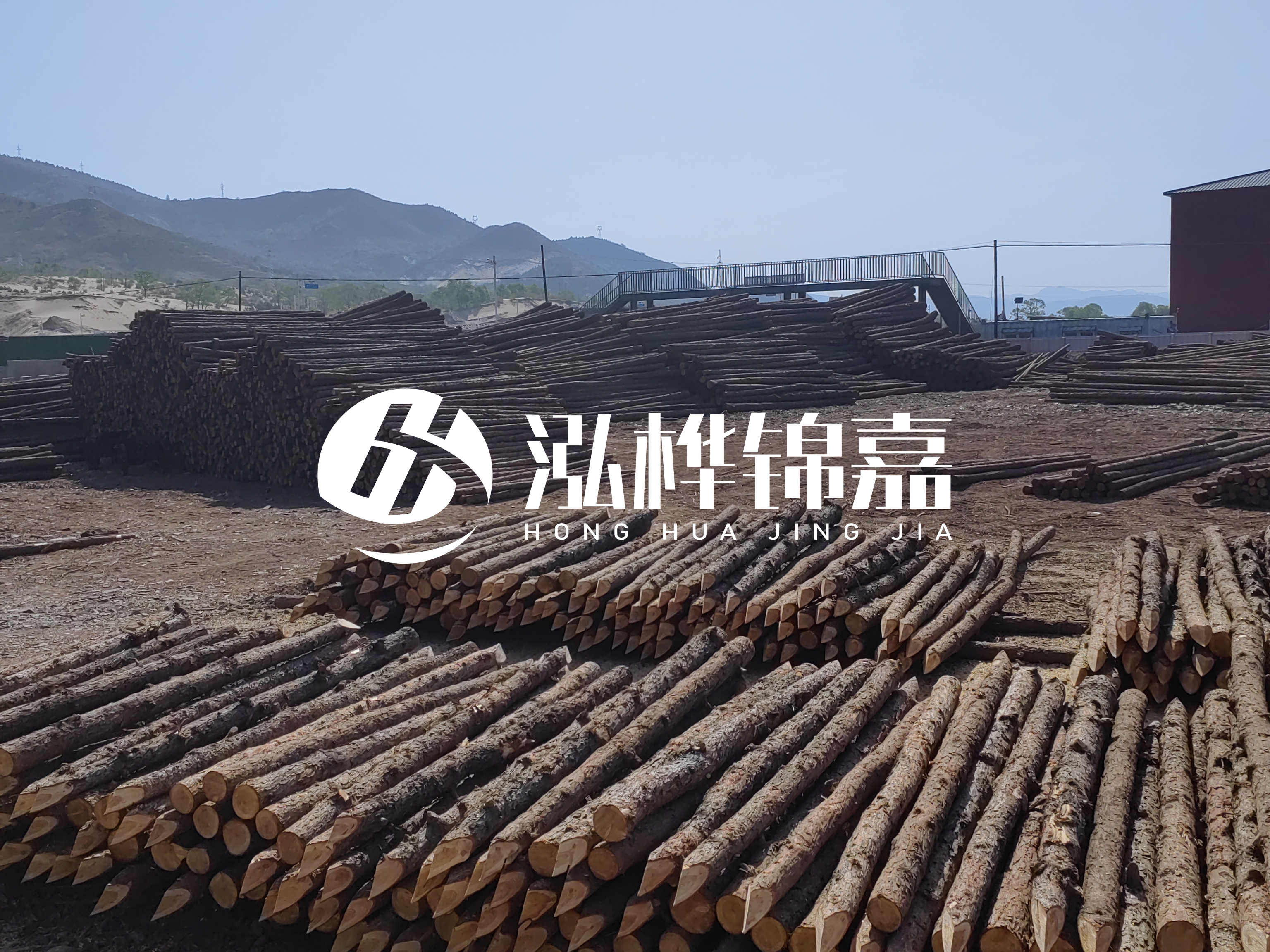 江蘇打樁木源頭廠家泓樺錦嘉-4米打樁木大頭14-16小頭一般多少？