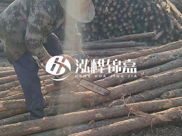 廣東打樁木源頭廠家泓樺錦嘉 - 如何選擇適合特定邊坡的松木樁？