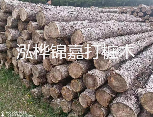 高效修補，保駕護航！水泥路面高強度修補料為您解決煩惱！