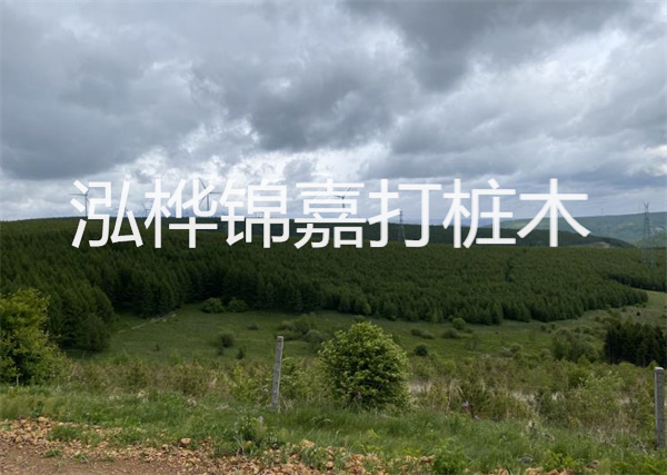 松木樁能重復(fù)施工么？