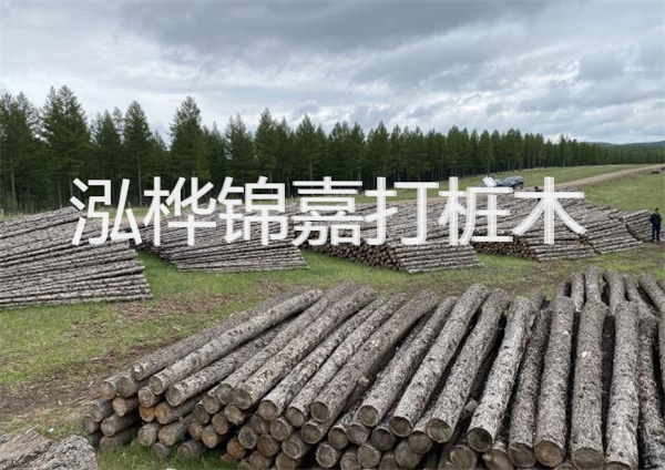 鋼結(jié)構(gòu)施工方案大全免費提供，助力工程建設(shè)