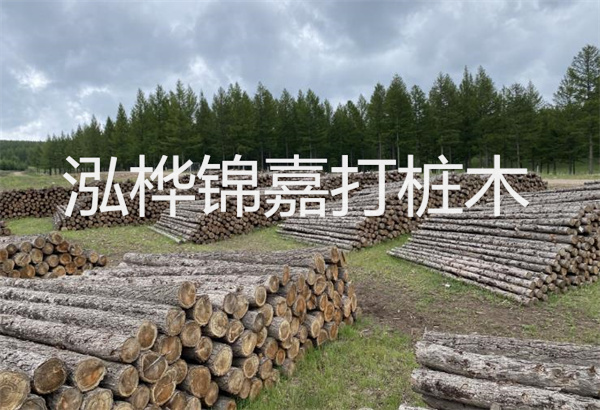 預(yù)制松木樁施工工藝：優(yōu)質(zhì)材料，高效快速，堅(jiān)固耐用