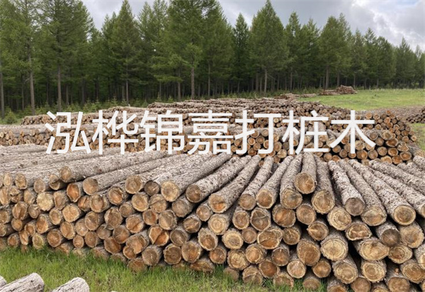 松木樁能施工嗎？探究視頻揭秘真相！