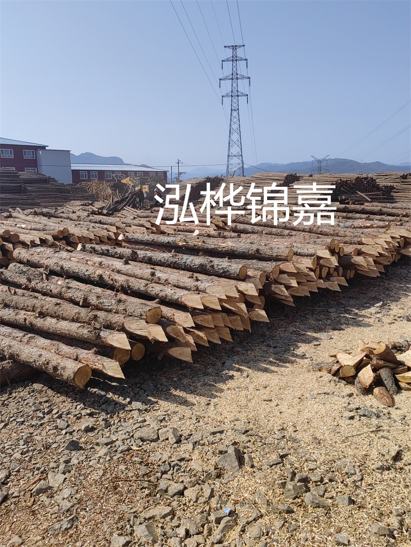 深入了解松木樁基礎(chǔ)施工單價(jià)，助力工程建設(shè)順利進(jìn)行！