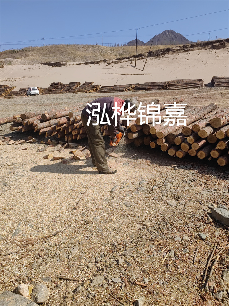 松木樁駁岸施工，打造水上風(fēng)景線