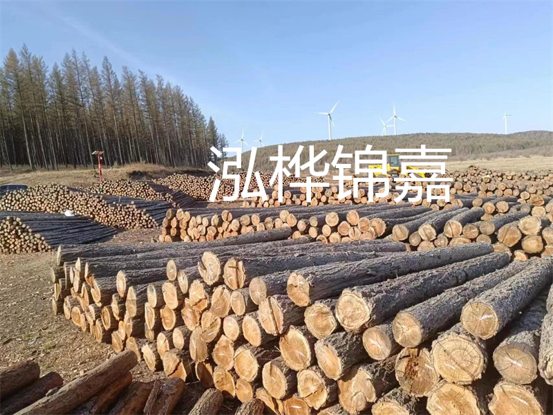 用路基松木樁施工方案提升工程質(zhì)量描述：了解路基松木樁施工方案的重要性，提高工程質(zhì)量關(guān)鍵詞：路基松木樁，施工方案，工程質(zhì)量