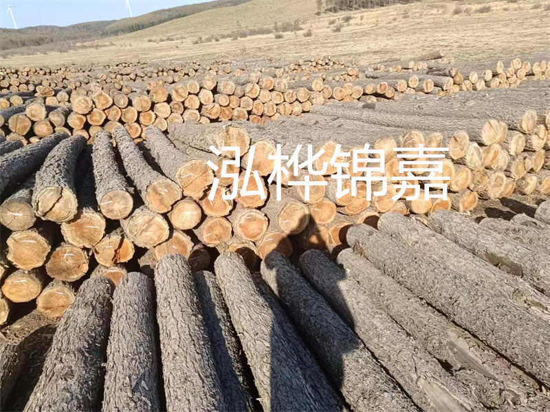選擇合適的路緣石尺寸，打造美麗道路