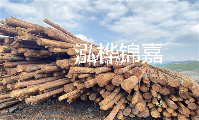 濮陽松木樁，卓越品質(zhì)，安全可靠