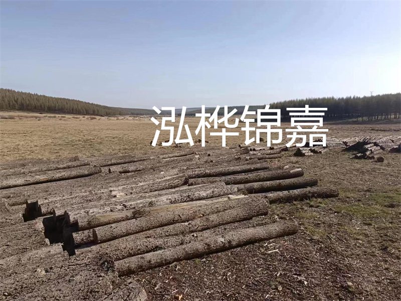 鄂州松木樁哪里好？推薦泓樺錦嘉松木樁業(yè)！